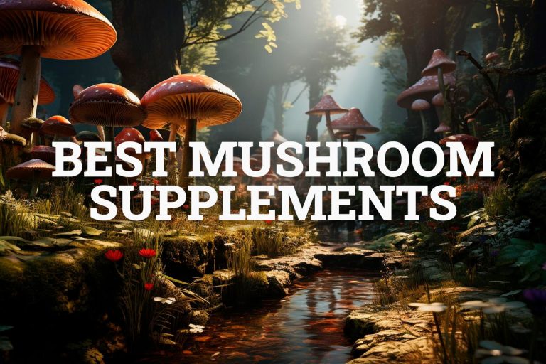 9 Best Mushroom Supplements: Benefits, Brands, and Buying Tips for 2024