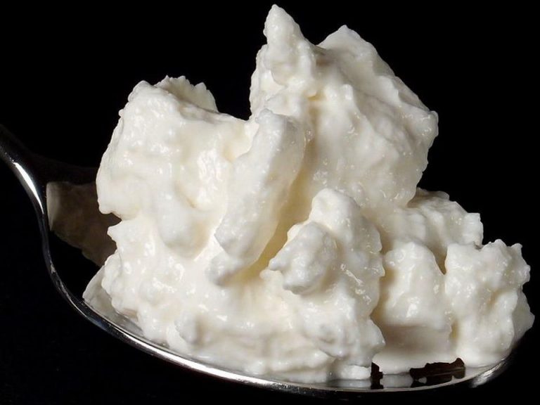 Quark Homemade Cheese: Benefits, Recipes, and Tips