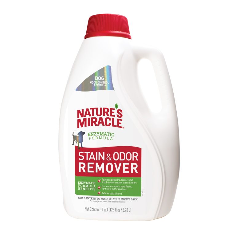 9 Best Enzyme Cleaners for Dog Urine: Top Picks for Stain and Odor Removal
