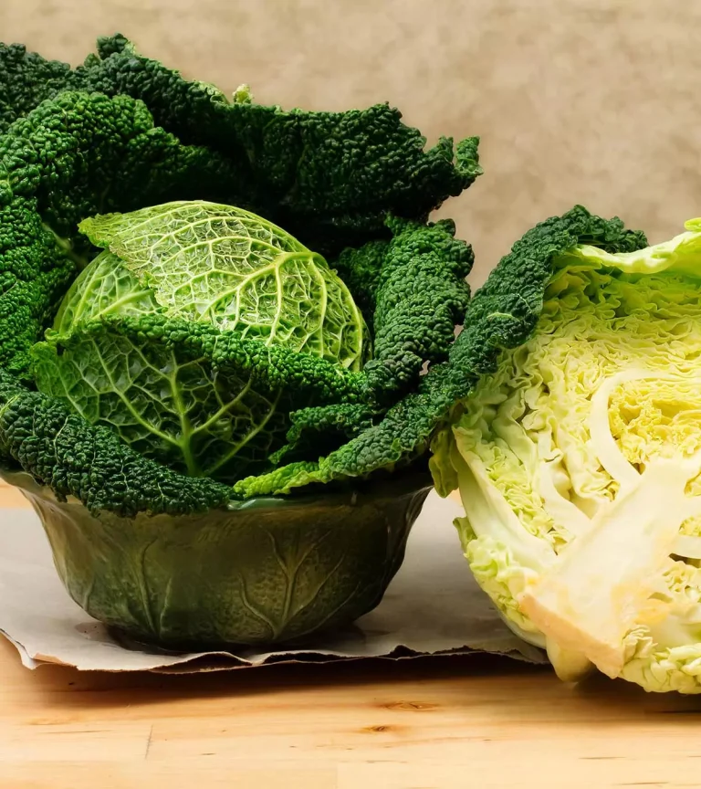 Savoy Cabbage: Health Benefits, Recipes, Growing Tips, and Storage Hacks