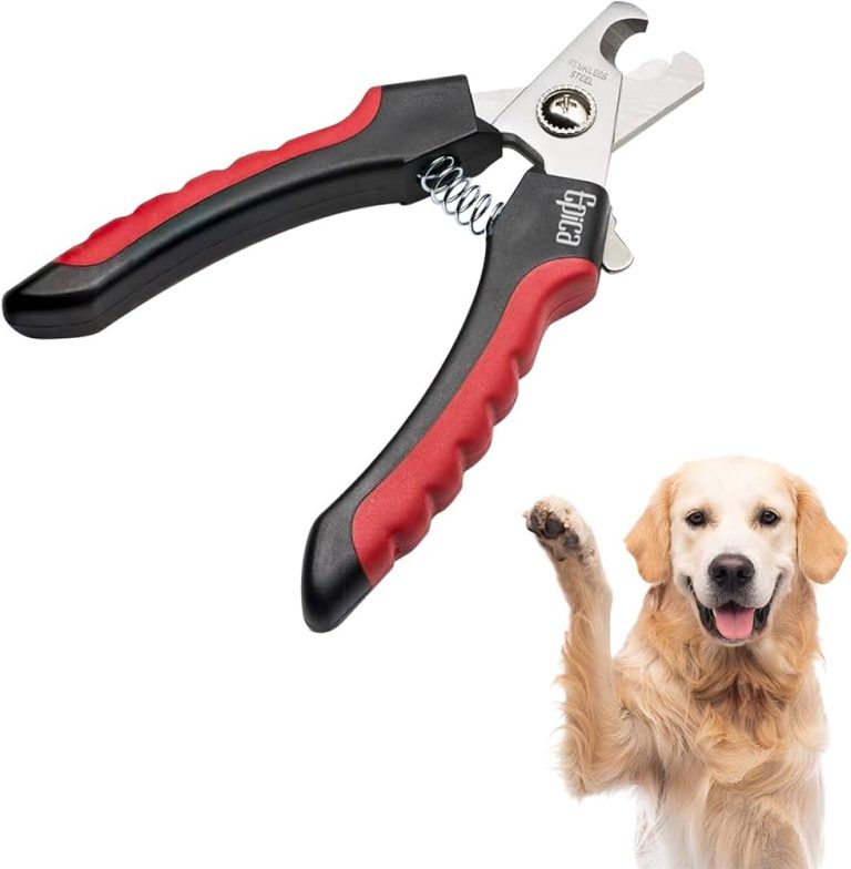 9 Best Dog Nail Trimmers for Safe, Comfortable, and Easy Grooming