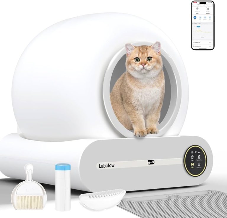 9 Best Automatic Cat Litter Boxes of 2024 for Clean and Happy Cats