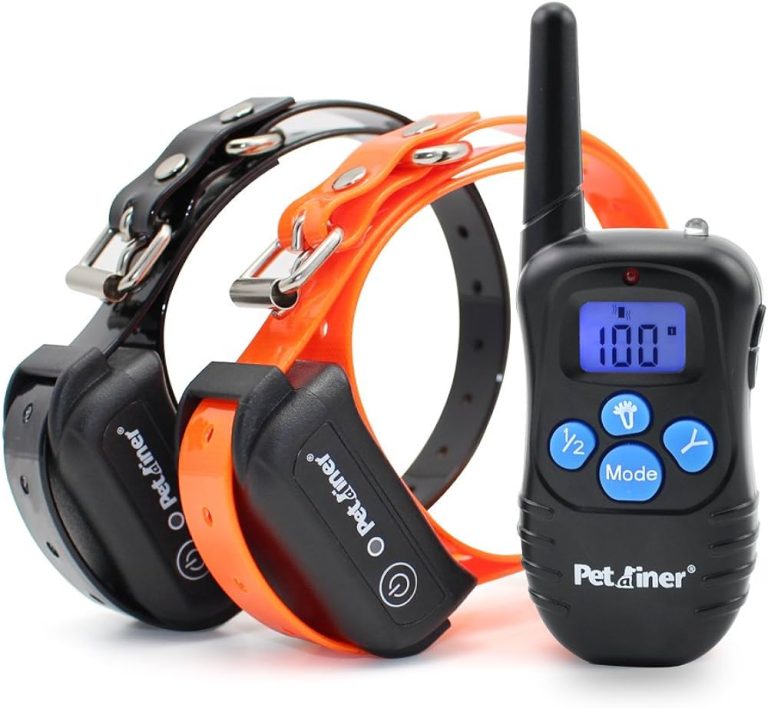 9 Best Dog Training Collars: Reviews, Features & Buying Guide