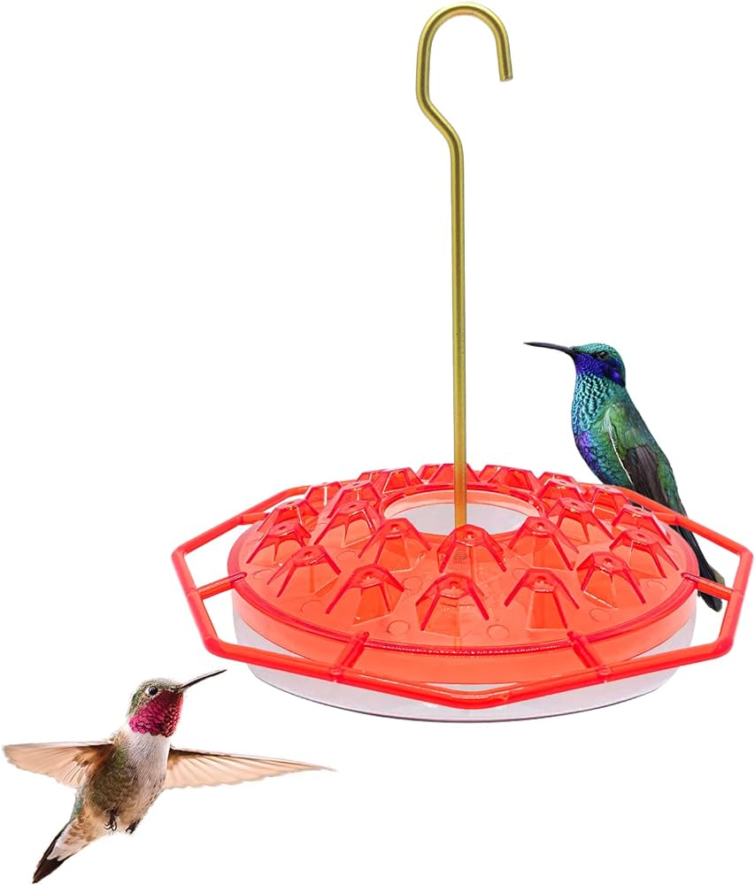 9 Best Hummingbird Feeders: Top Picks for Durability, Design, and Easy Maintenance