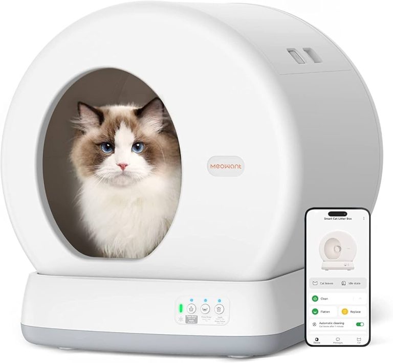 9 Best Self-Cleaning Litter Boxes for a Cleaner, Odor-Free Home