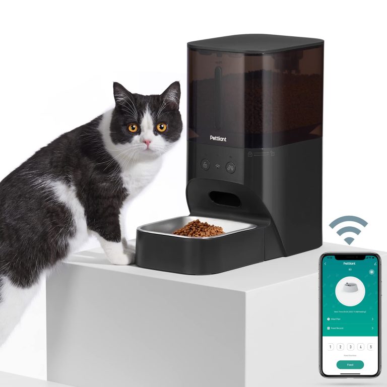 9 Best Automatic Cat Feeders for Convenient and Reliable Feeding in 2023