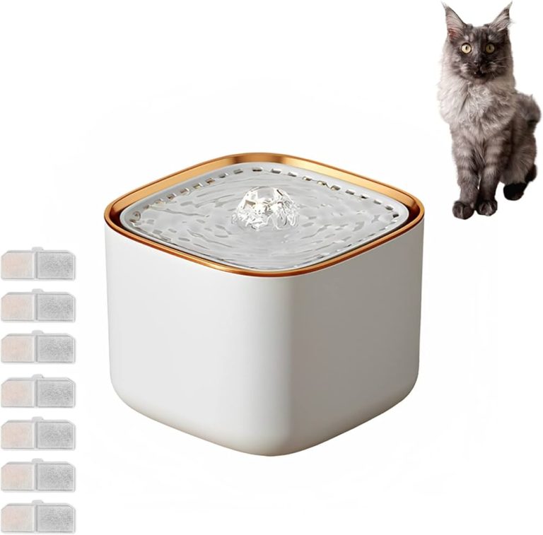 9 Best Cat Fountain Water Choices to Keep Your Feline Hydrated and Healthy