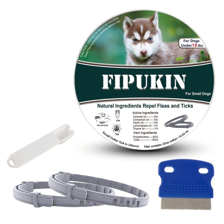 9 Best Flea Collars for Dogs: Top Picks for Safe and Effective Protection