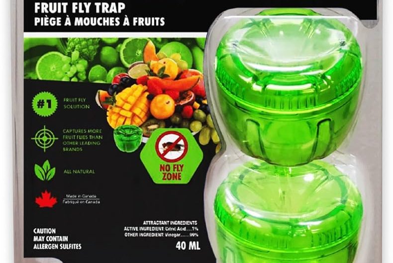 9 Best Fruit Fly Traps: DIY Methods and Store-Bought Solutions for a Pest-Free Kitchen