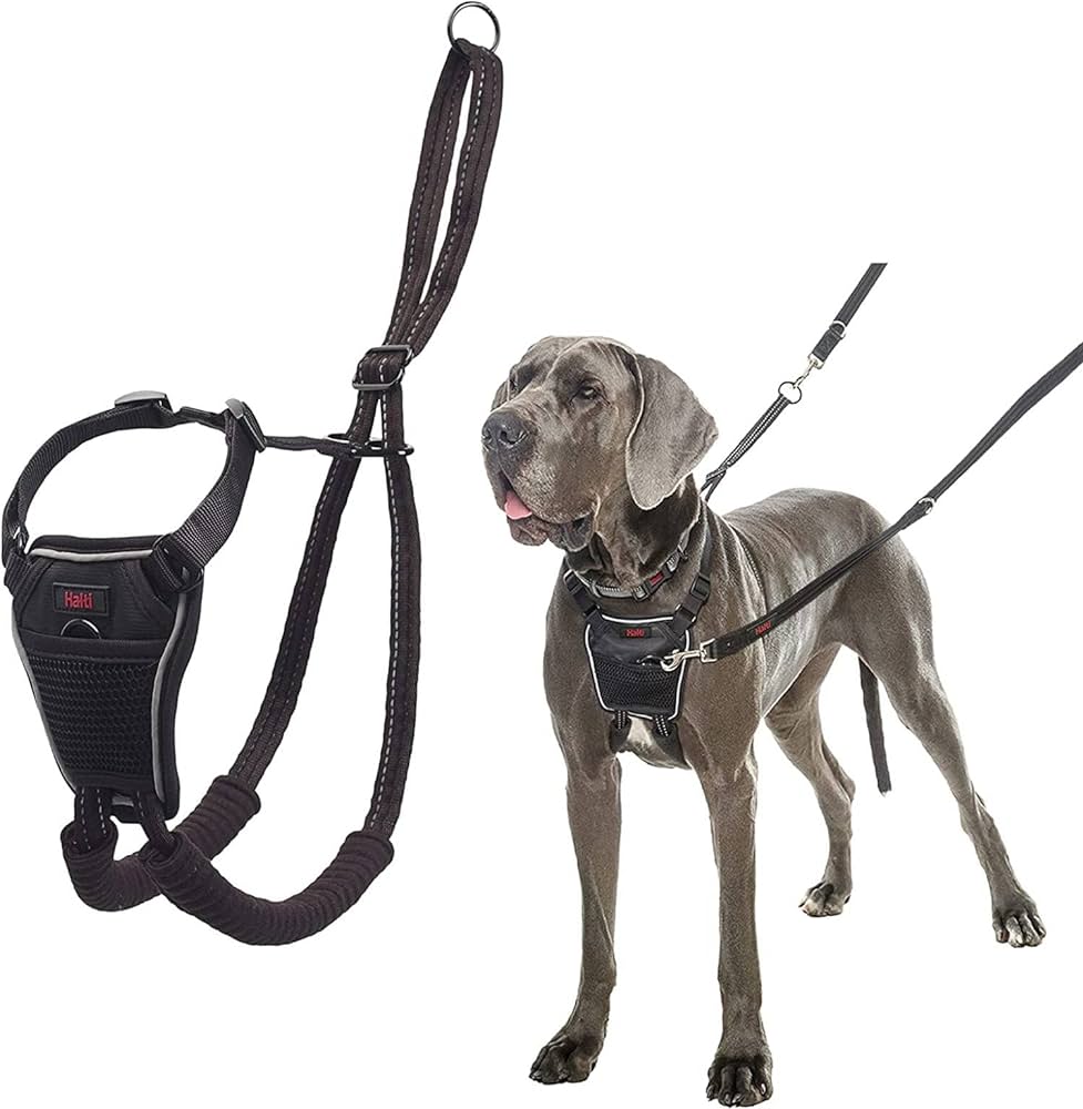 9 Best Dog Harnesses for Every Need: Eco-Friendly, Reflective, and Easy to Use Options