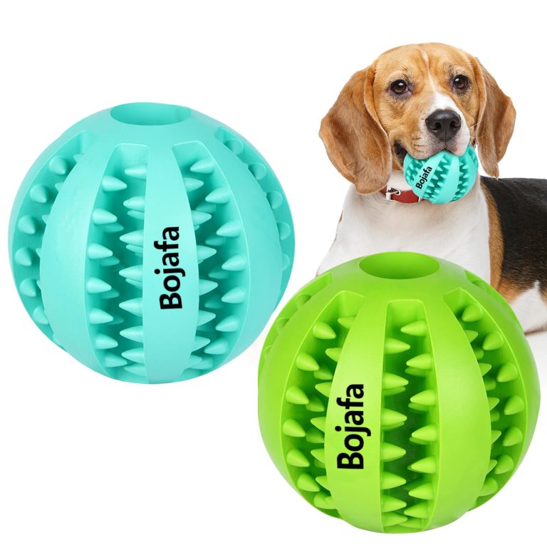 9 Best Puppy Chew Toys: Top Picks for Teething, Dental Health, and Mental Stimulation