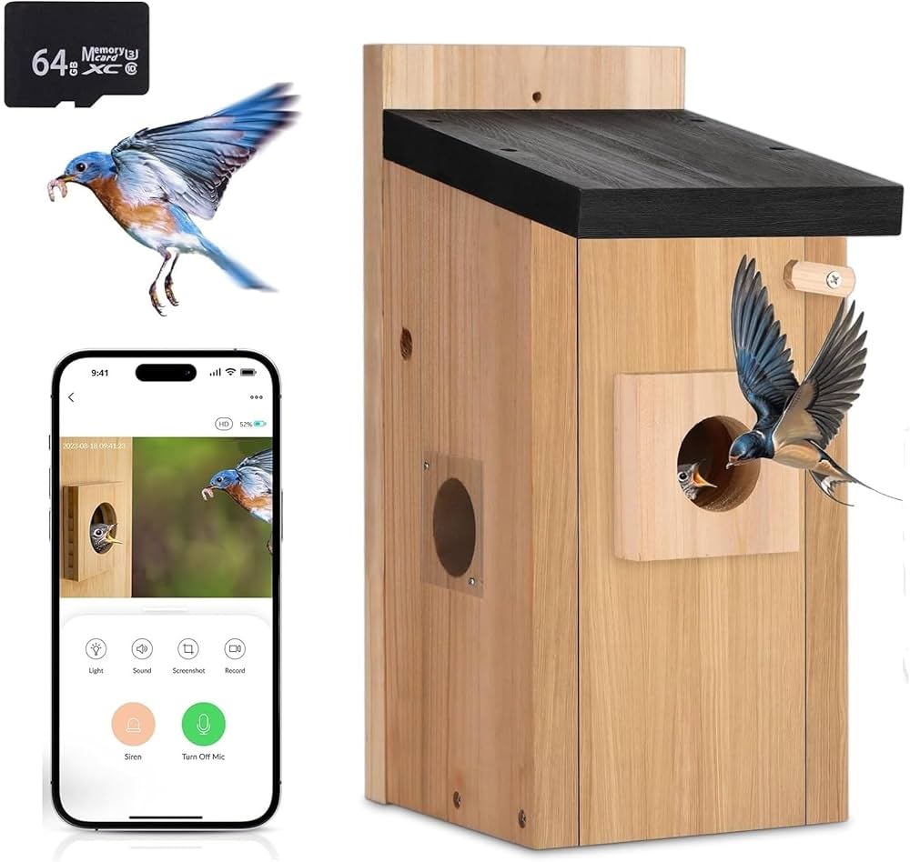 9 Best Bird Feeder Cameras: High-Definition, Night Vision & Smart Features for Birdwatchers