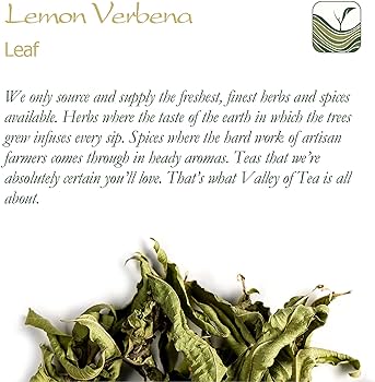 Lemon Verbena Mint Detox Tea Recipe