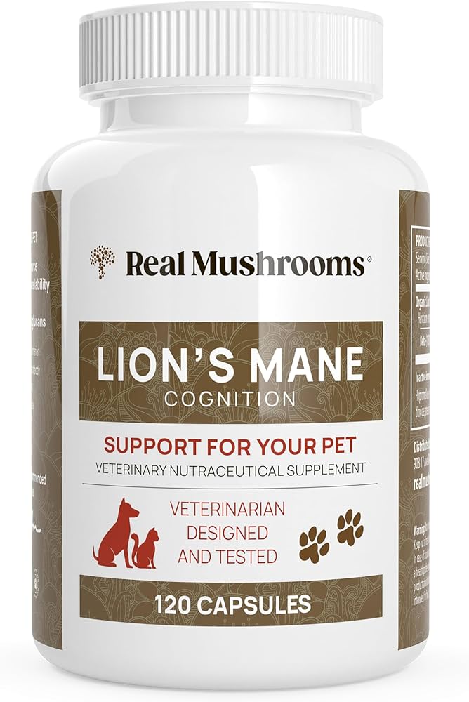 9 Best Lion’s Mane Supplements for Cognitive and Nerve Health Benefits