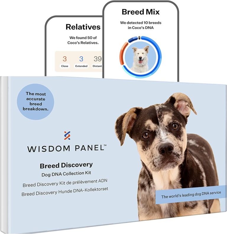 9 Best Dog DNA Tests in 2024: Uncover Your Pet’s Ancestry and Health Insights