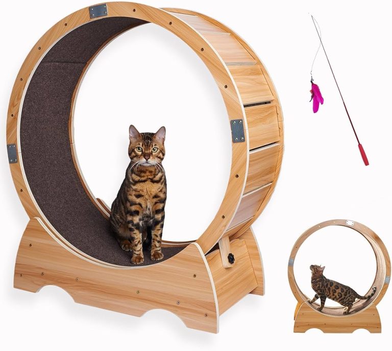 9 Best Cat Toys for Bored Cats: Keep Your Feline Friend Entertained and Active