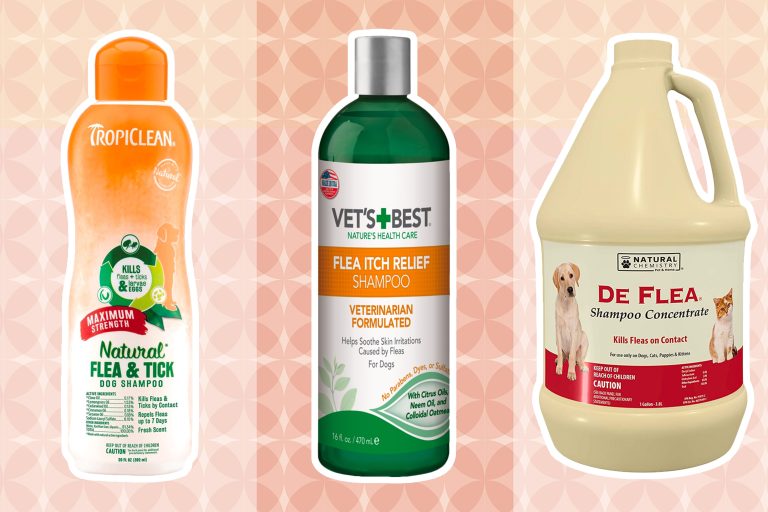 9 Best Shampoos for Dogs: Top Picks for Sensitive Skin, Allergies, Fleas, and More