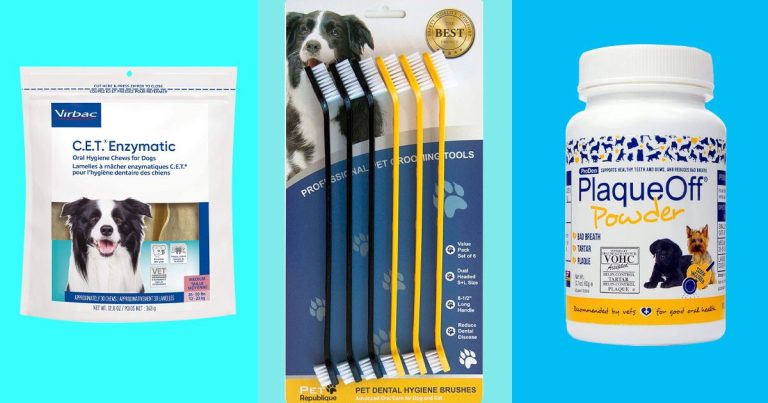 9 Best Dog Toothbrush Options for Perfect Dental Hygiene