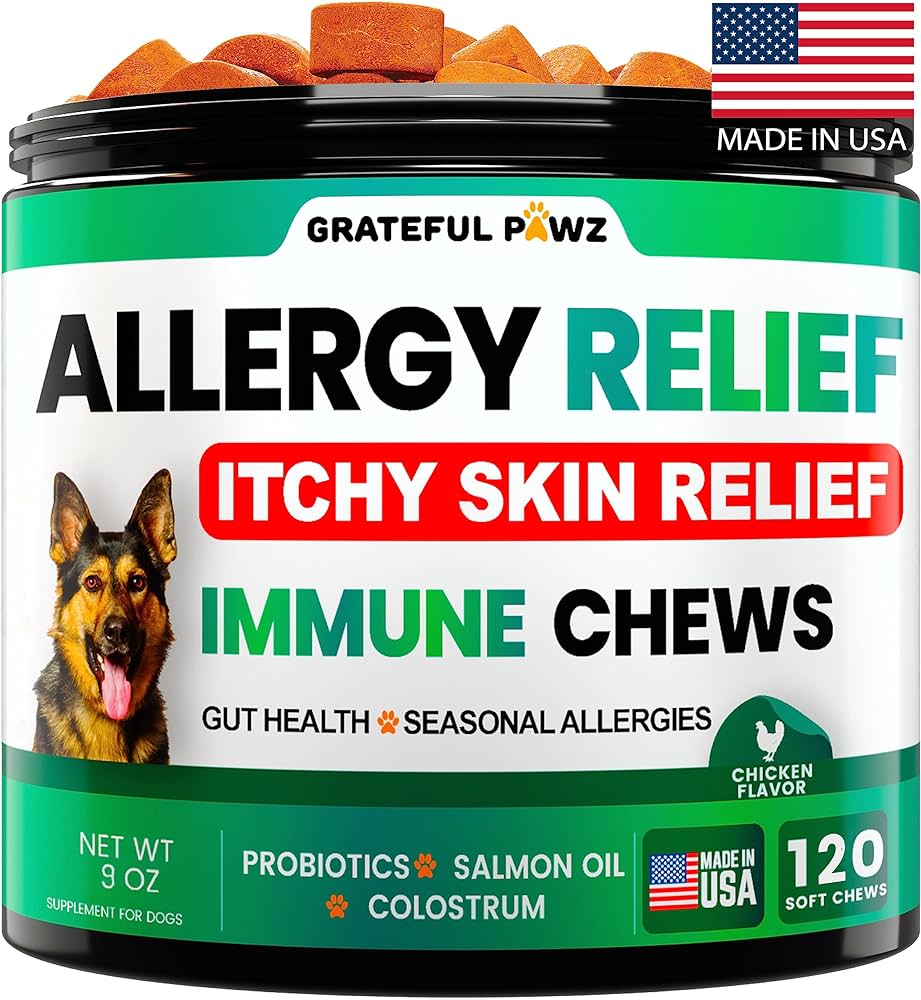 9 Best Itch Relief for Dogs: Top Solutions for Allergy, Parasite, and Skin Irritations