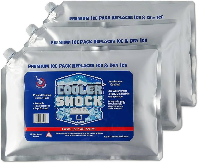 9 Best Ice Packs for Coolers: Keep Your Food and Drinks Chilled Longer