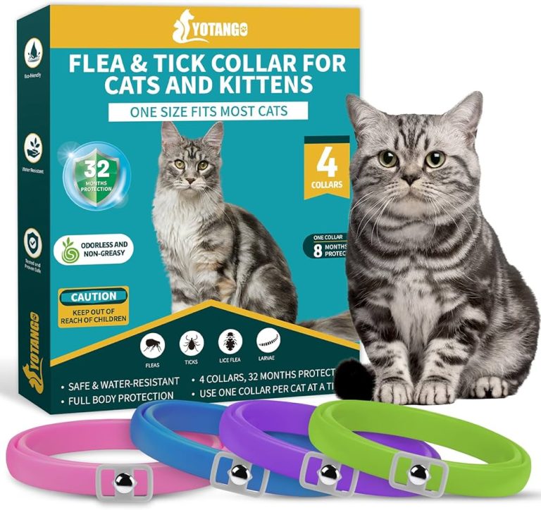 9 Best Flea Collars for Cats: Effective and Affordable Protection 2023