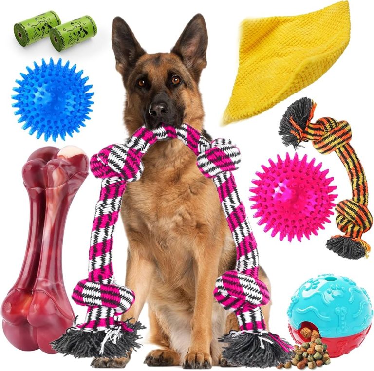 9 Best Dog Toys for Aggressive Chewers: Durable & Fun Options Reviewed
