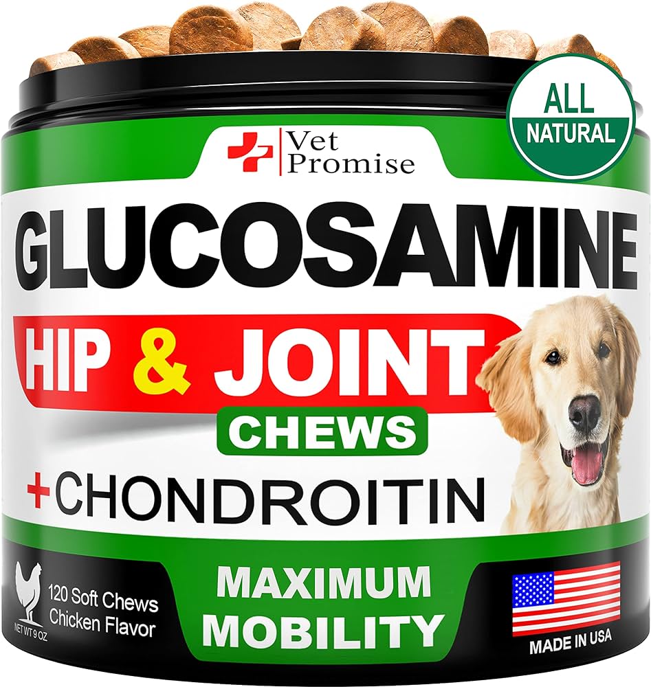 9 Best Joint Supplements for Dogs: Enhance Mobility & Reduce Inflammation Naturally