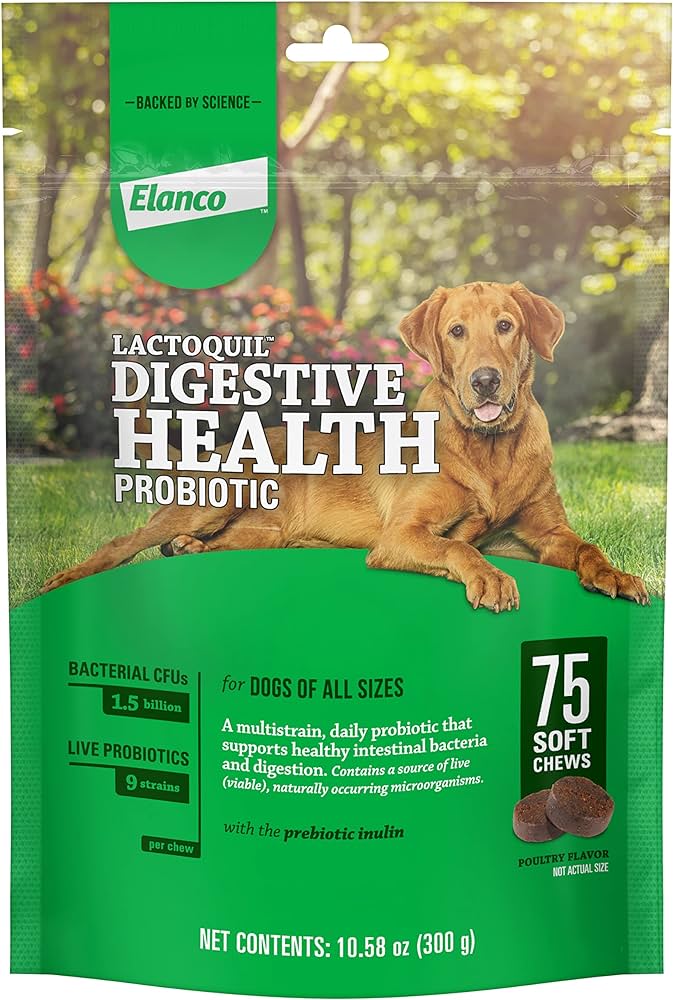 9 Best Probiotics for Dogs: Top Picks for Gut Health and Well-Being