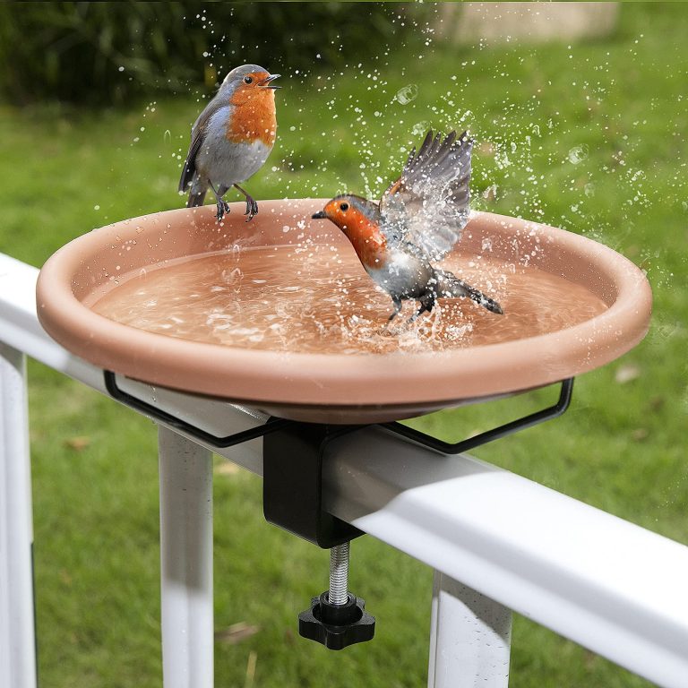 9 Best Bird Baths to Beautify Your Garden and Attract More Birds