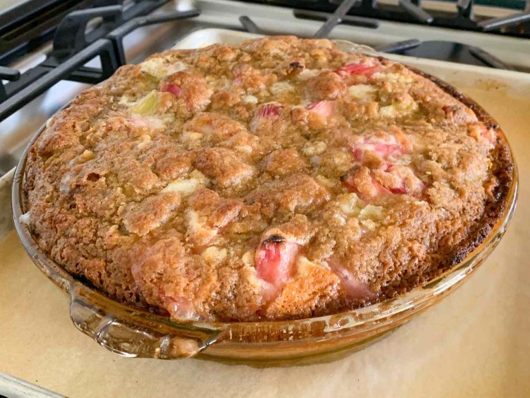 Rhubarb Sour Cream Pie: A Delicious Recipe for All Seasons and Occasions