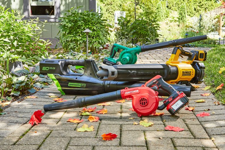9 Best Cordless Leaf Blowers for Effortless Yard Cleanup