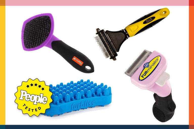 9 Best Cat Brushes for Effective Grooming: Reviews for All Coat Types