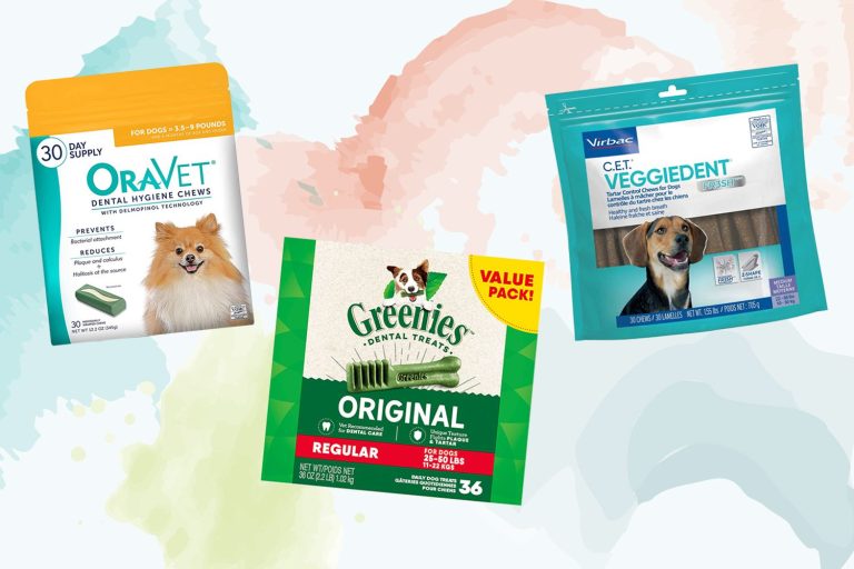 9 Best Dental Chews for Dogs: Top Picks for Clean Teeth and Fresh Breath