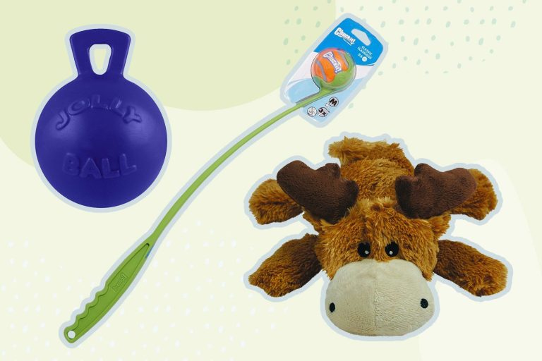 9 Best Dog Toys: Top Picks for Chewers, Squeakers, and More