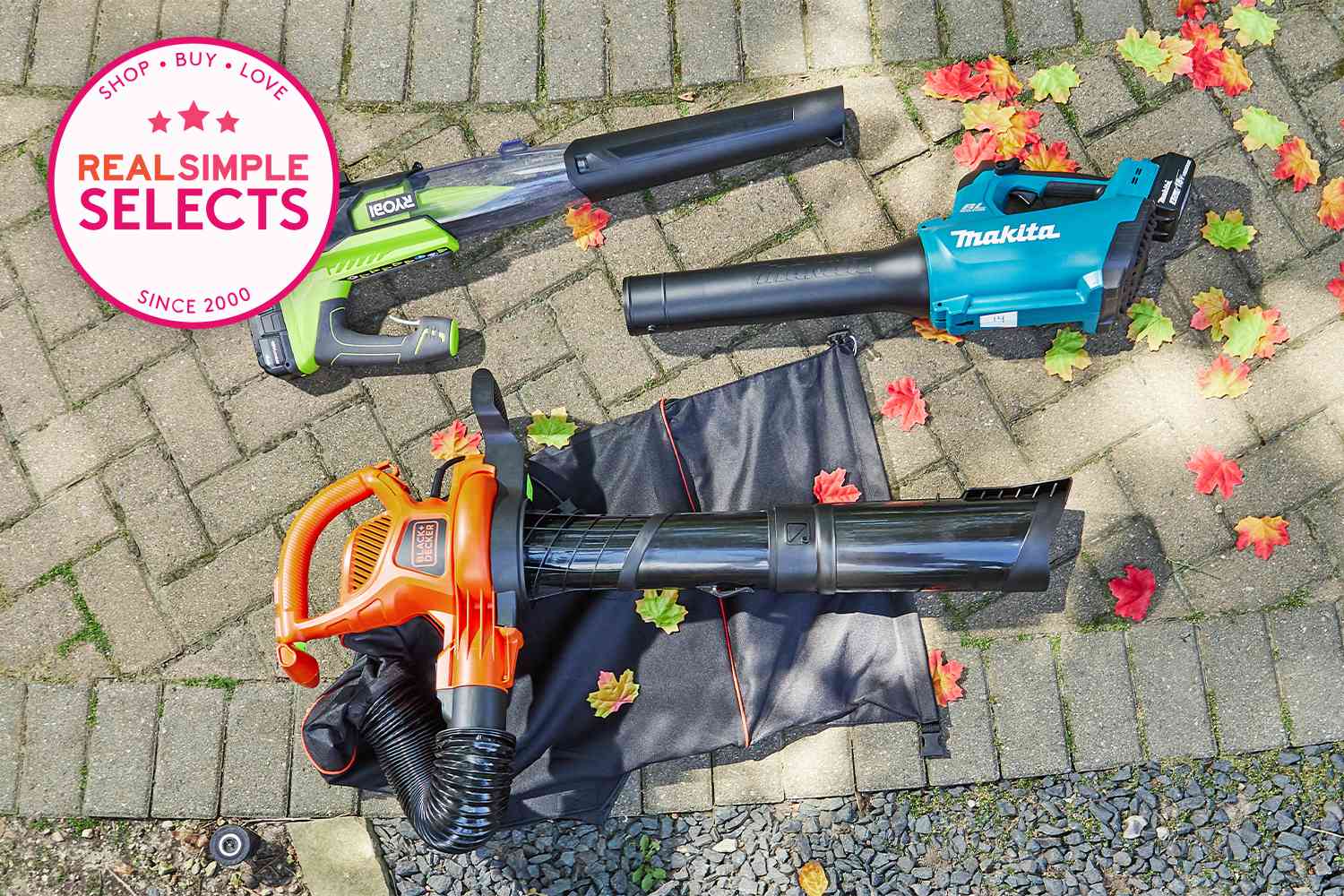 9 Best Leaf Blowers of 2024: Top Picks for Every Yard and Budget