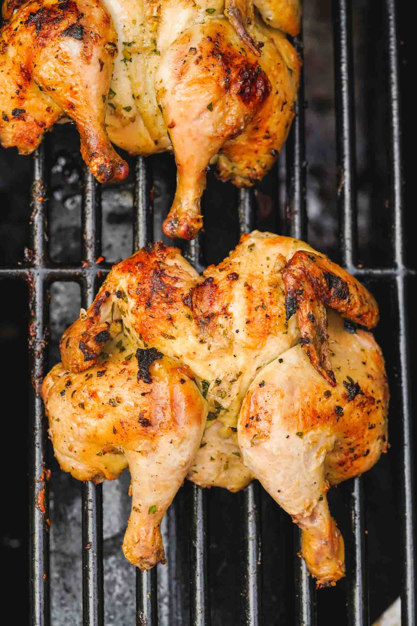 Cornish Hens: Simple Roasting and Grilling Techniques for Delicious Meals