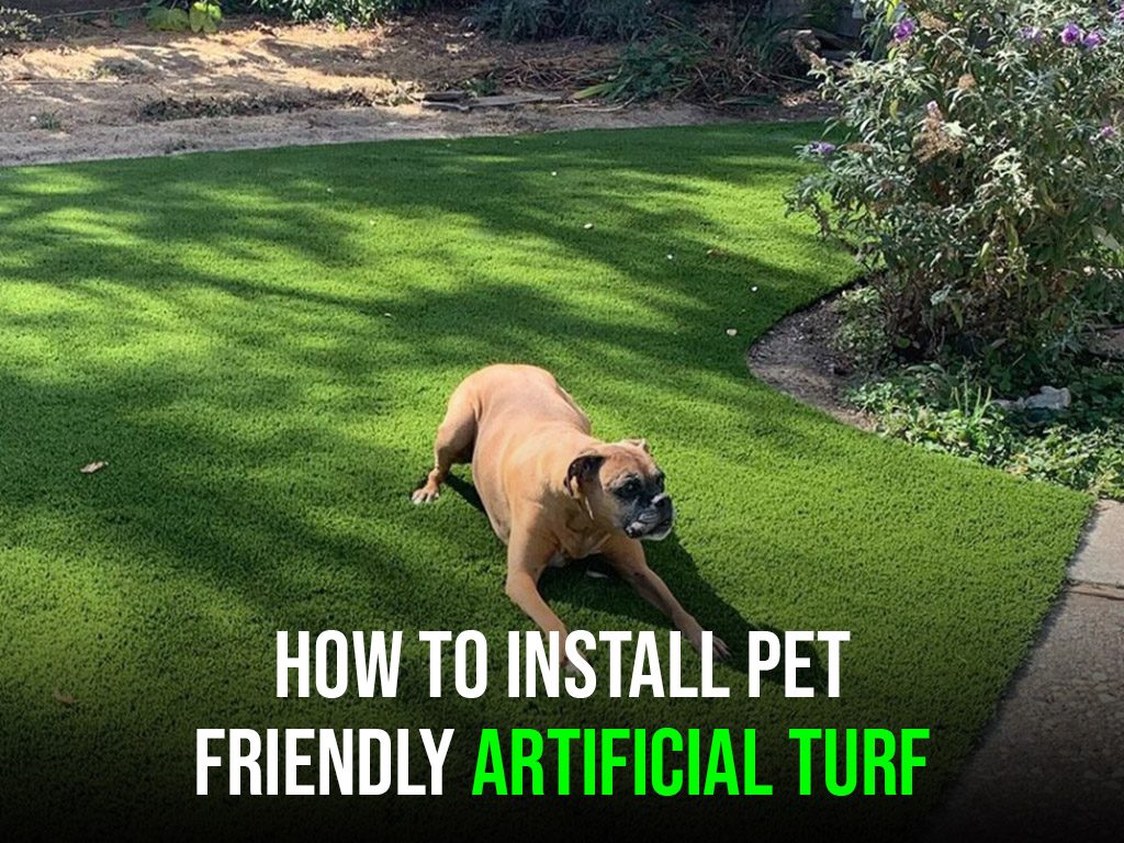 9 Best Weed and Grass Killers for a Lush, Pet-Friendly Lawn