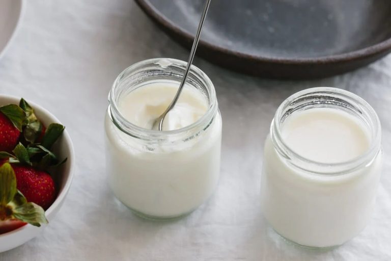 Homemade Yogurt: A Step-by-Step Guide to Fresh and Flavorful Yogurt at Home