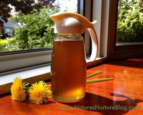 Dandelion Syrup: Health Benefits, DIY Recipe, and Best Brands to Buy in 2023