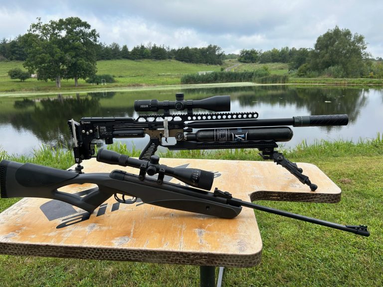 9 Best Air Rifles for Beginners, Hunting, and Target Shooting in 2024