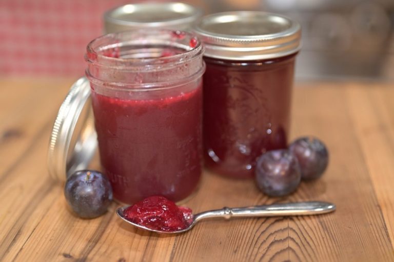 Plum Jelly at Home: Recipes, Tips, and Health Benefits