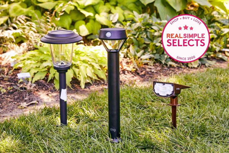 9 Best Outdoor Solar Lights for Your Garden, Pathway, Patio, and More