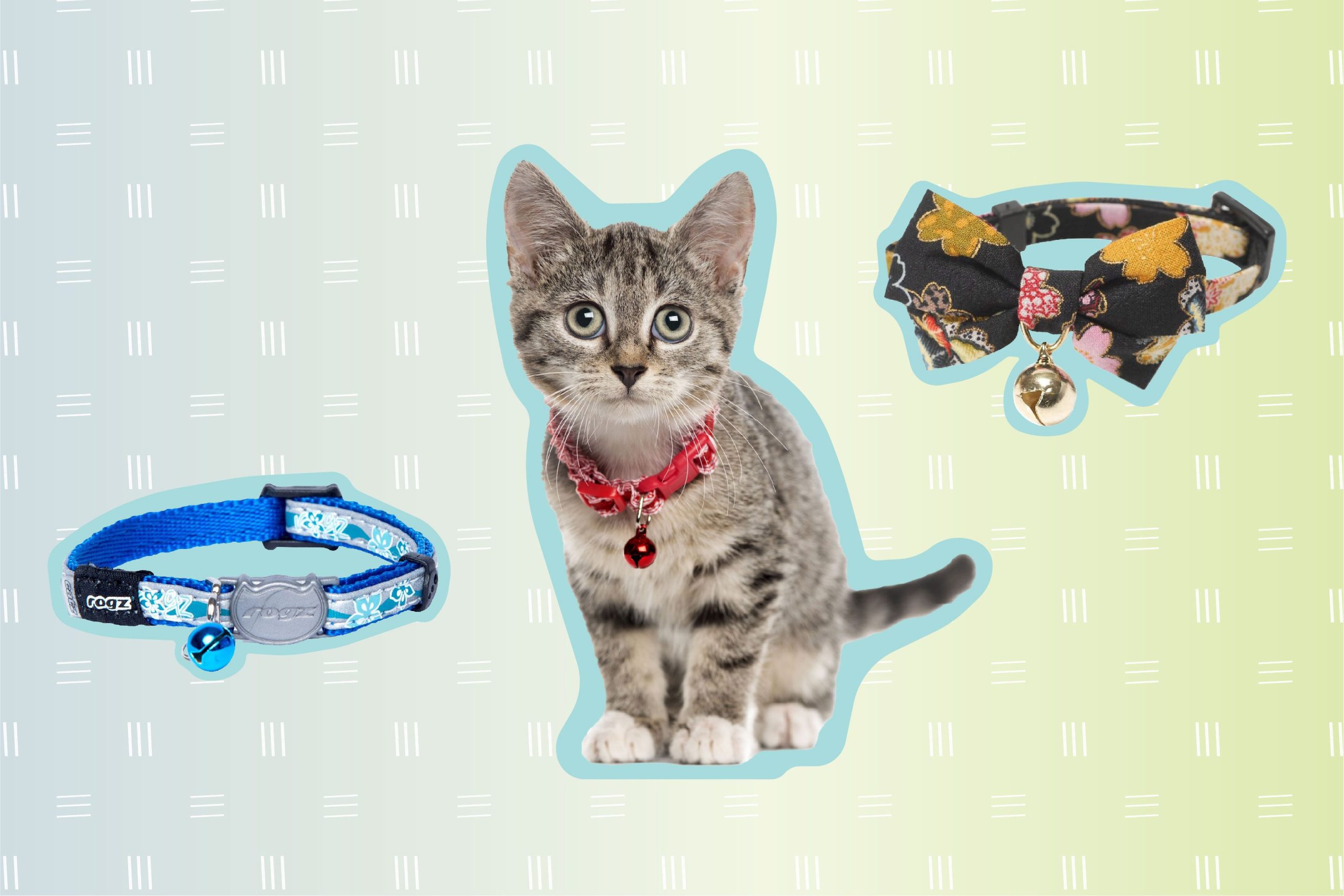 9 Best Cat Collars for Safety, Style, and Comfort in 2024