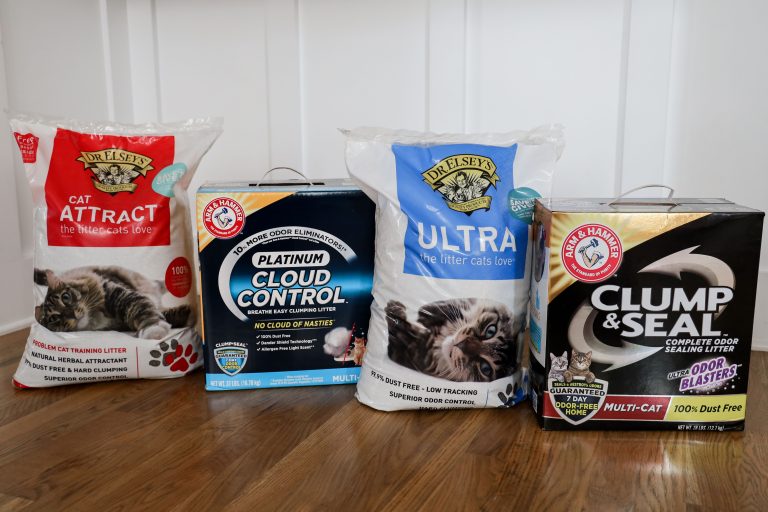 9 Best Kitty Litters for Odor Control, Clumping, and Eco-Friendliness
