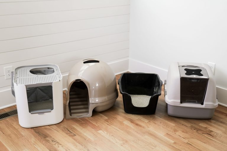 9 Best Litter Boxes for Multiple Cats: Top Picks for Cleanliness, Comfort, and Space