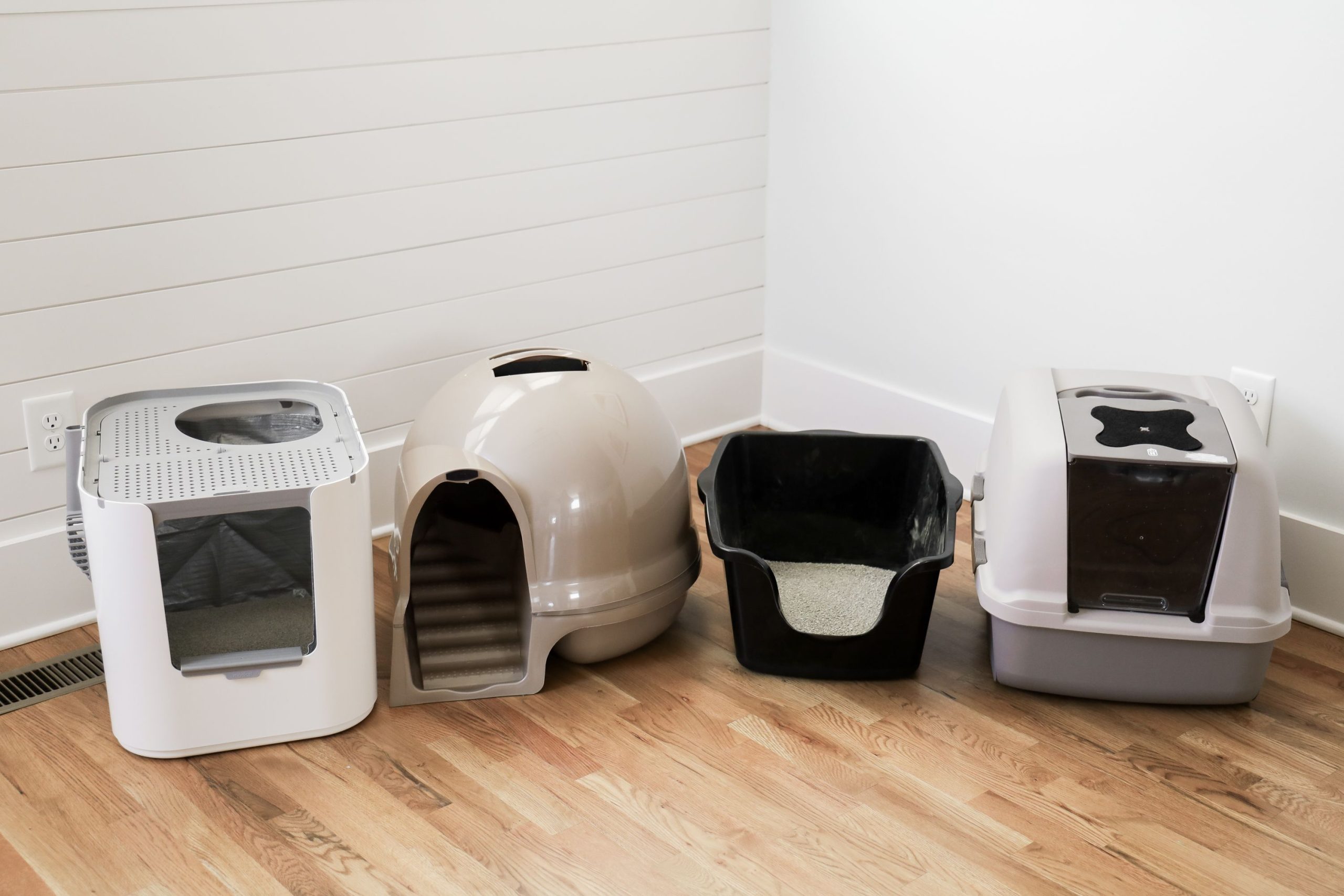 9 Best Litter Boxes for Multiple Cats: Top Picks for Cleanliness, Comfort, and Space