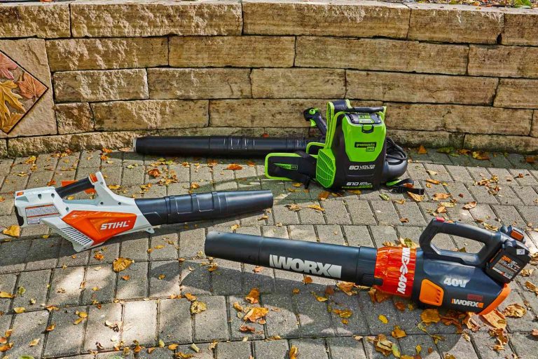 9 Best Leaf Blower Vacuums for 2024: Tackle Leaves Efficiently and Quietly