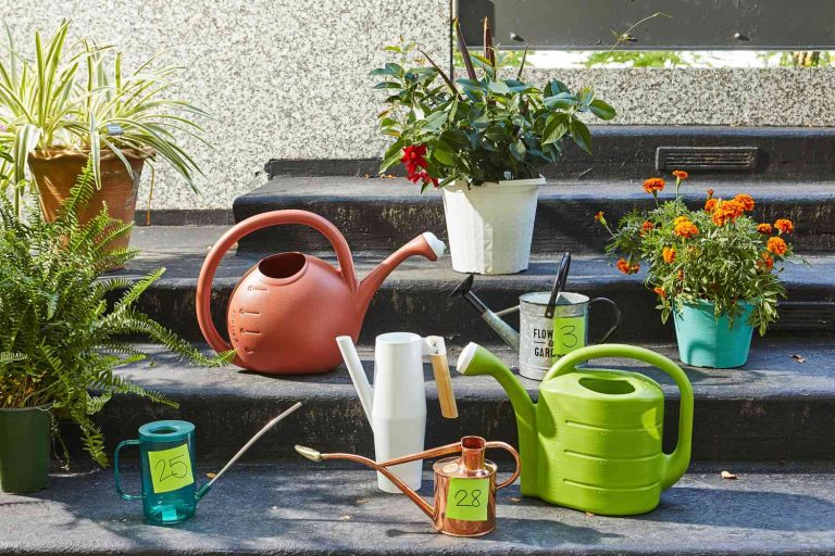 9 Best Watering Cans: Top Picks for Indoor, Outdoor, and Smart Gardening