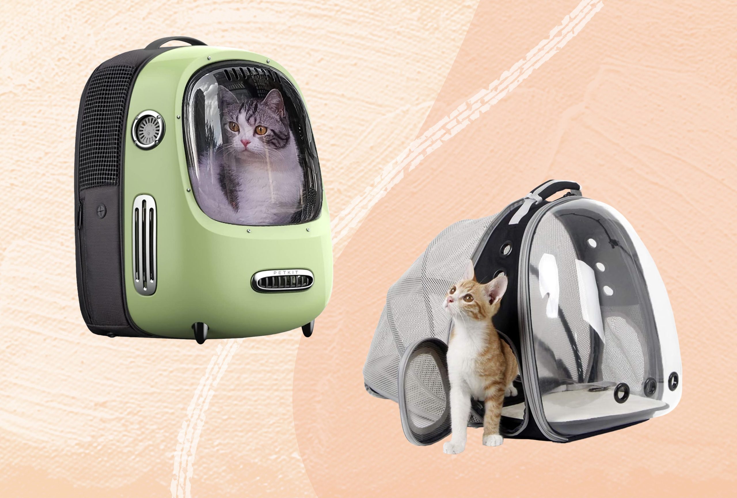 9 Best Carriers for Cats: Top Travel-Friendly Options for Your Feline Companion