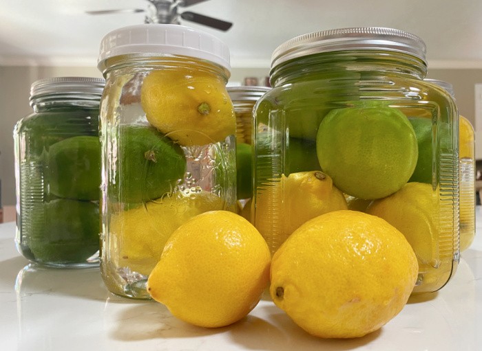 9 Best Ways to Store Lemons: Keep Them Fresh All Year Round